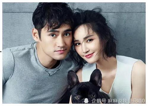 明星娱乐圈吃瓜博主,明星背后的那些事儿