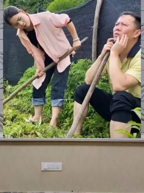 娱乐八卦吃瓜群众1